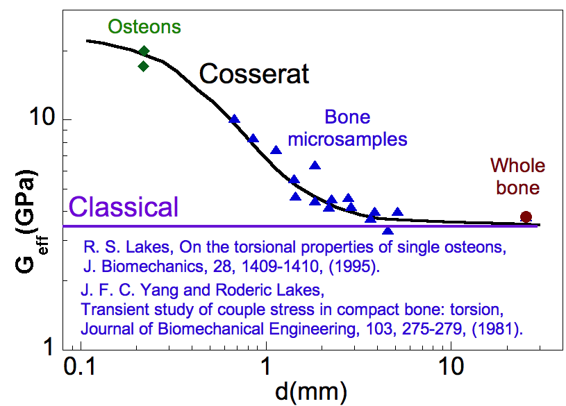 Cosserat size effects in bone