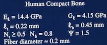 bone Cosserat elastic constants