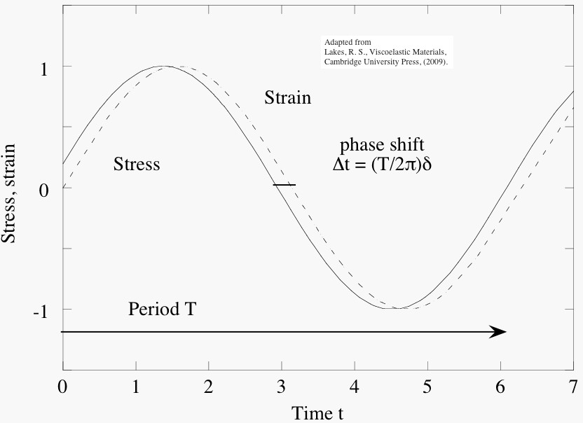 dynamic response