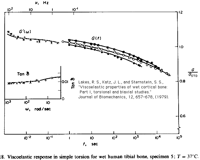 bone viscoelasticity